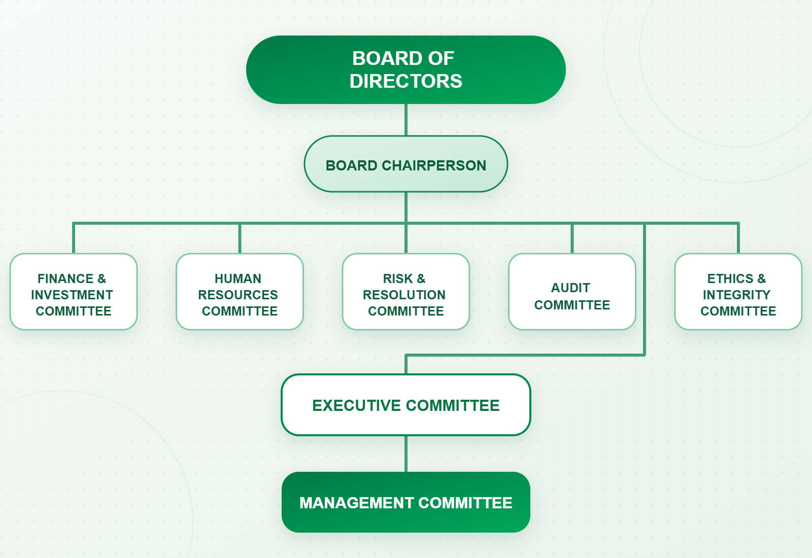 DPC governance structure diagram